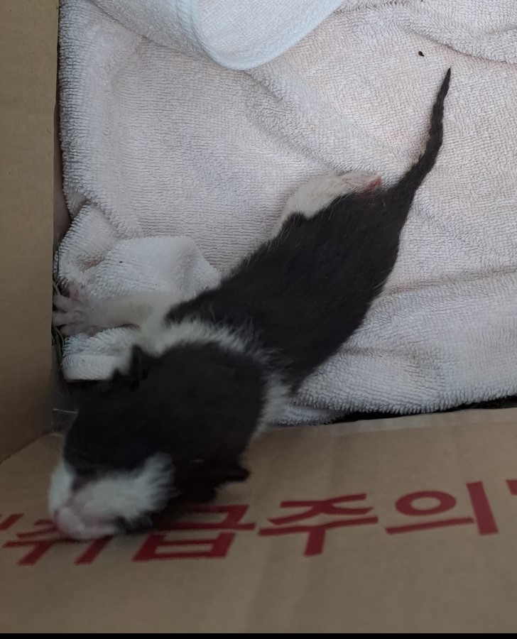 서산시 동물보호센터_444453202300792